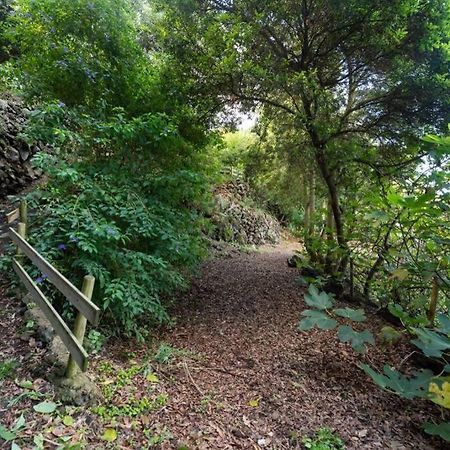 Finca El Molledo El Patio Daire Icod De Los Vinos Dış mekan fotoğraf